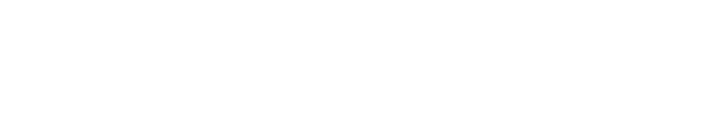 BITSLEEP(ビットスリープ)ロゴ画像